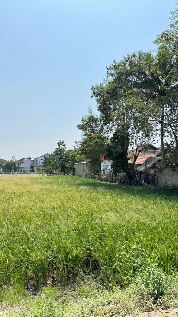 Di jual cepat TANAH STRATEGIS 3.080 m² — Rancaekek, Tanggeung — Foto 2