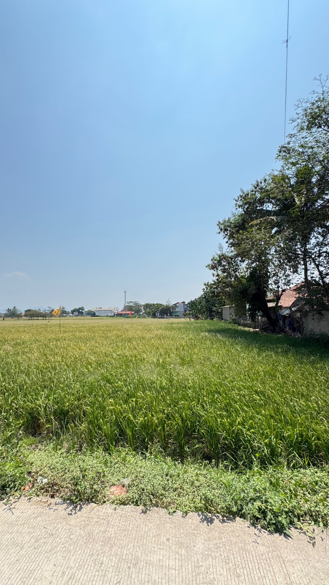 Di jual cepat TANAH STRATEGIS 3.080 m² — Rancaekek, Tanggeung — Foto 3